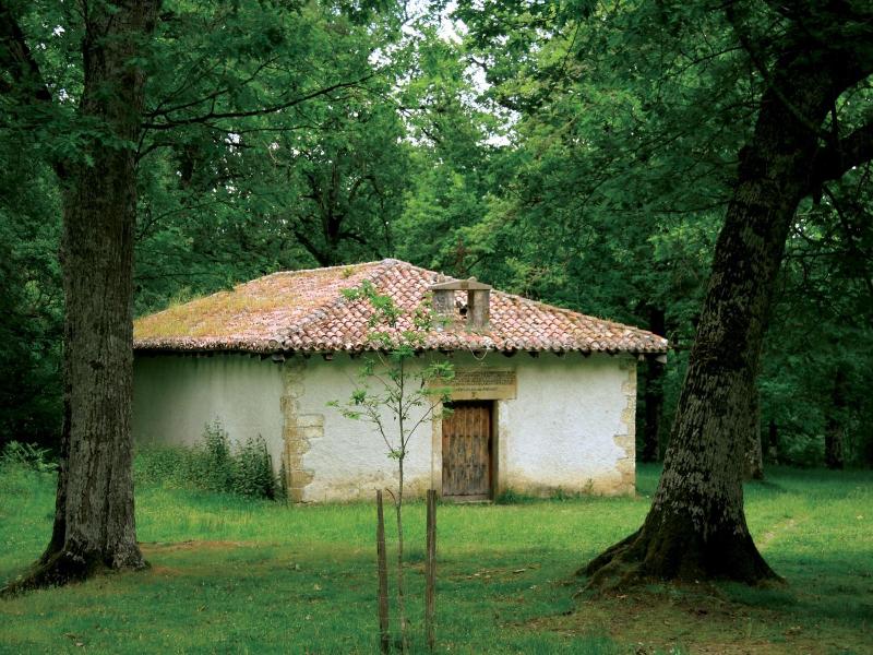 Hotel Lemik image