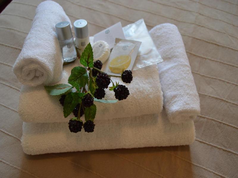 Hotel Aréna image