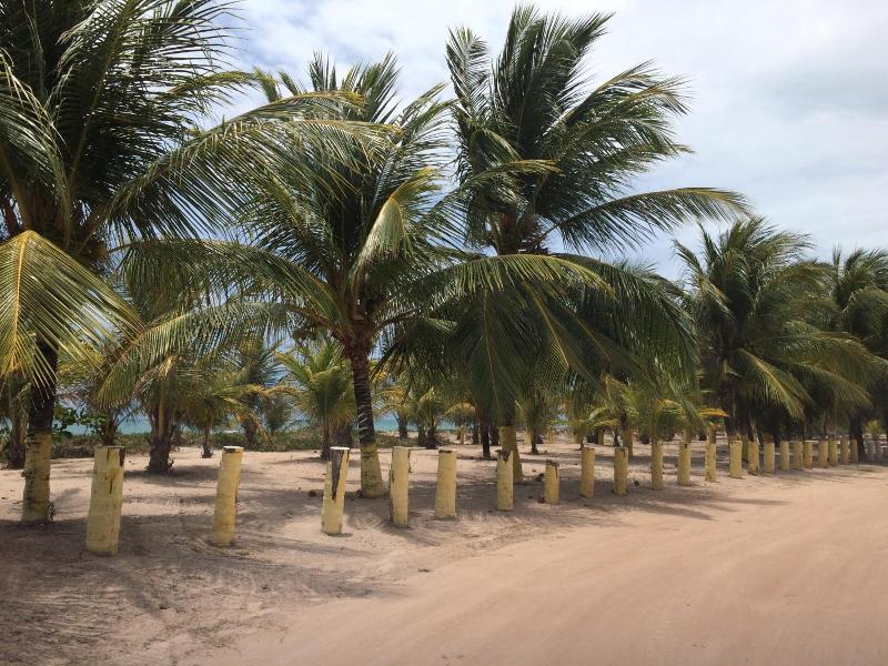 Apart Hotel Beira Mar image