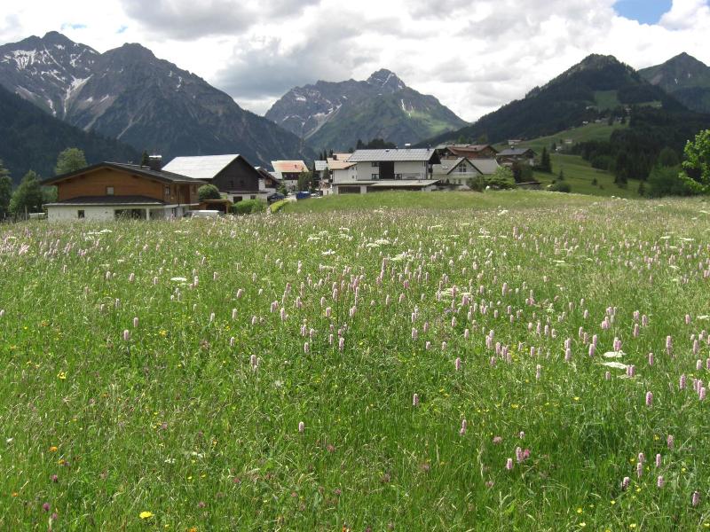 Gästehaus Boersch image
