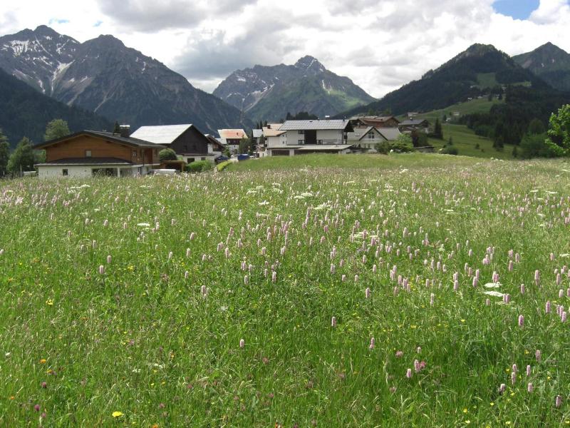 Gästehaus Boersch image