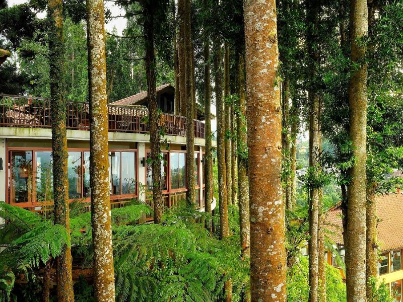 The Grand Hill Resort-hotel image
