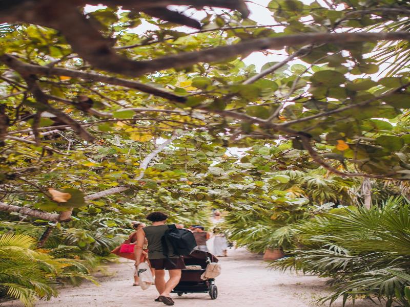 Ikal Tulum Hotel image