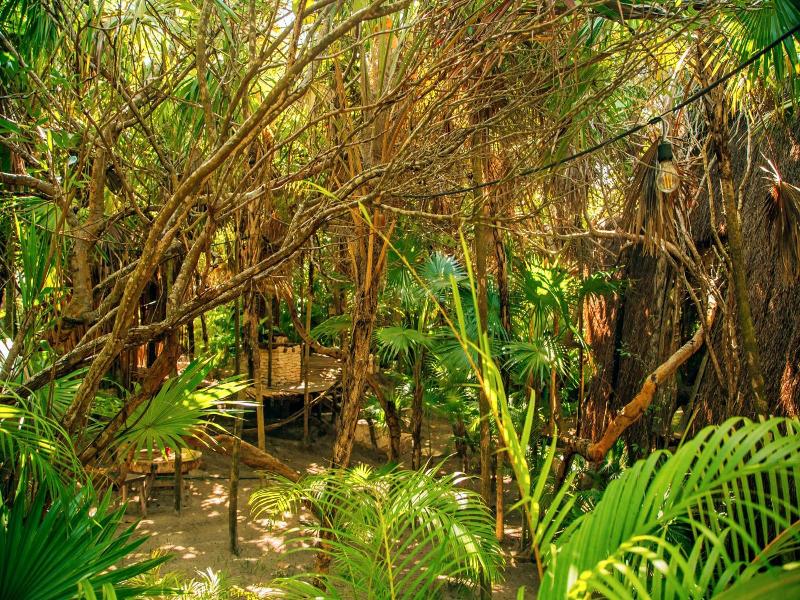 Ikal Tulum Hotel image