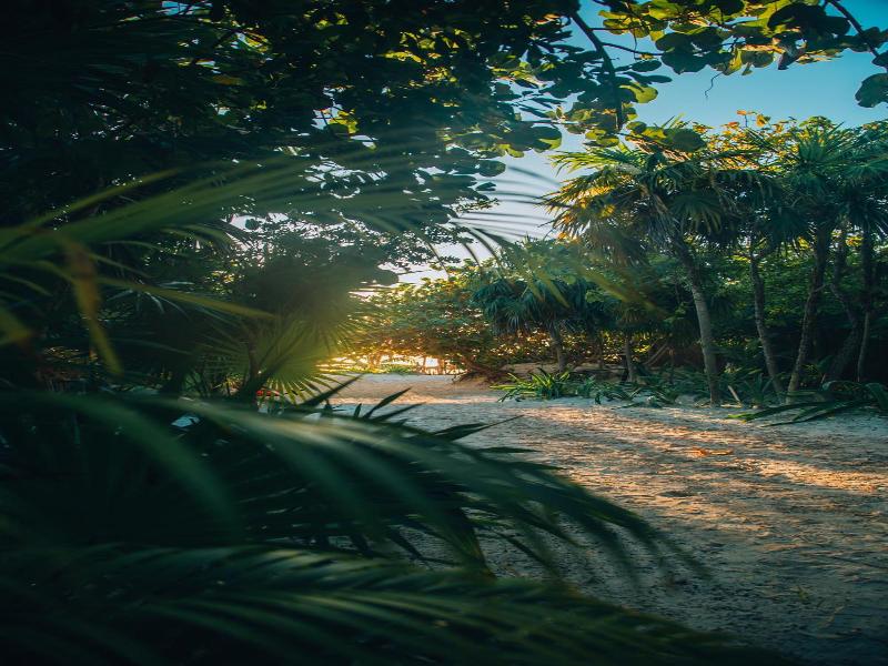 Ikal Tulum Hotel image