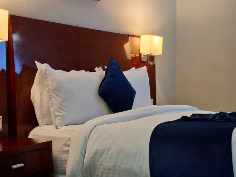 Omedad Hotel image