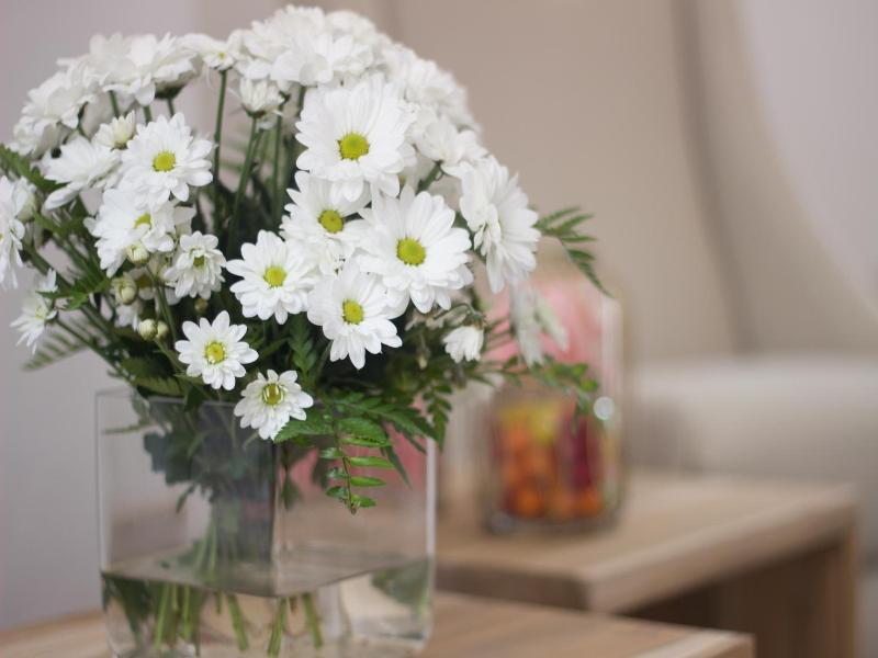 S'hotelet D'es Born - Suites & Spa image