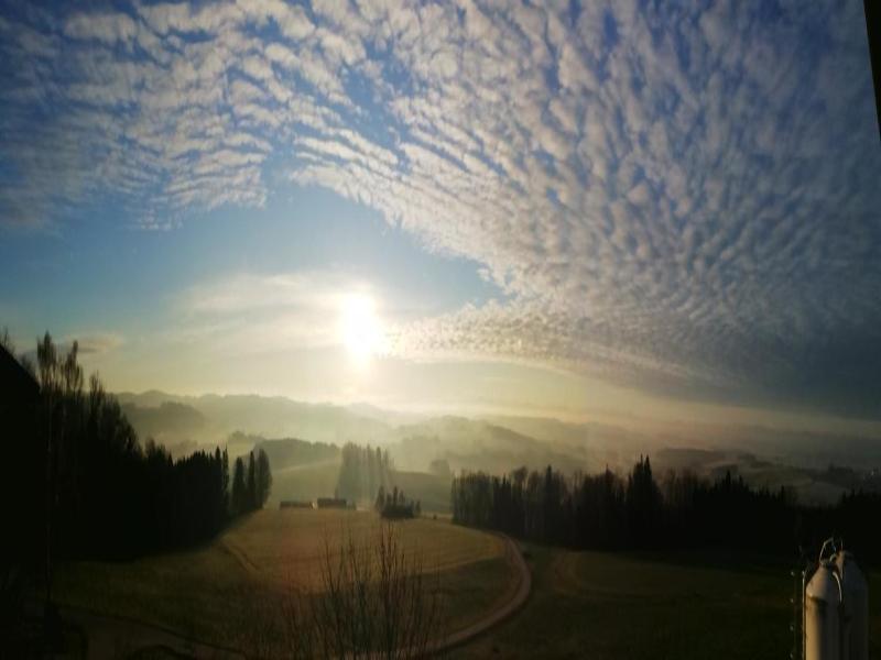 Landgasthof Peterbauer image