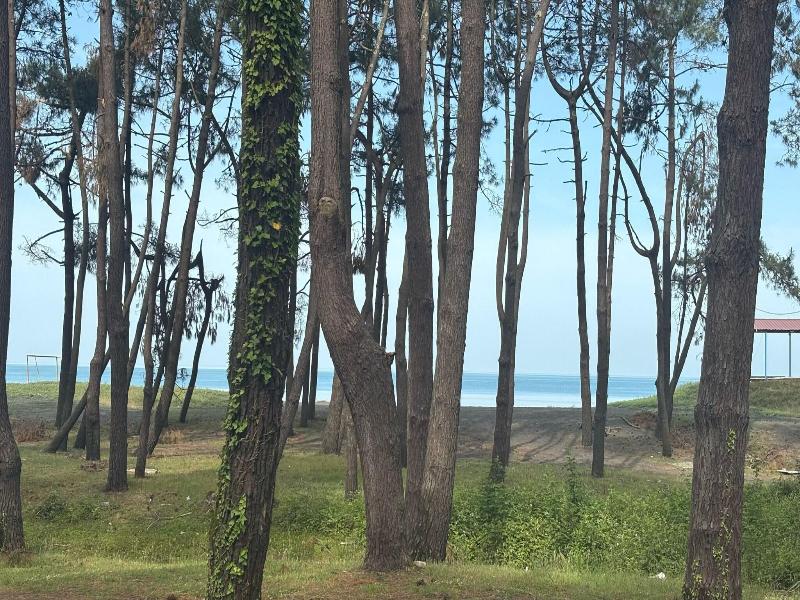 Simple Pleasures Shekvetili Hotel image