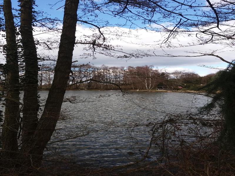 Ferienpark Tannenbruchsee image