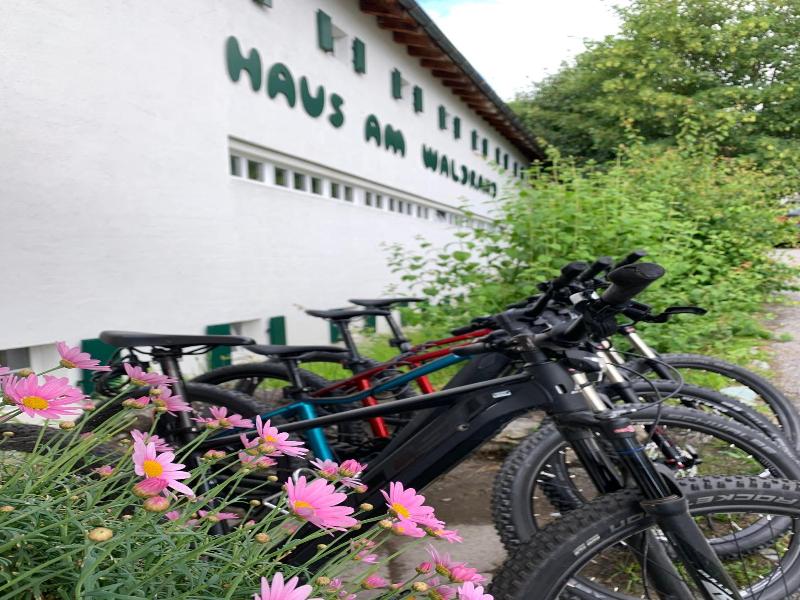 Hotel Haus Am Waldrand image