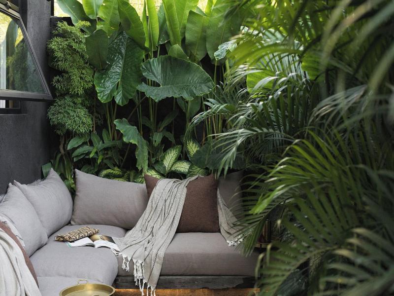 The Bohemian Bali image