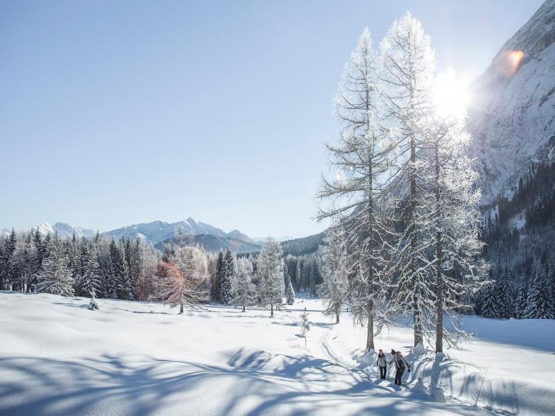 Das Aparthotel Olympia Tirol image