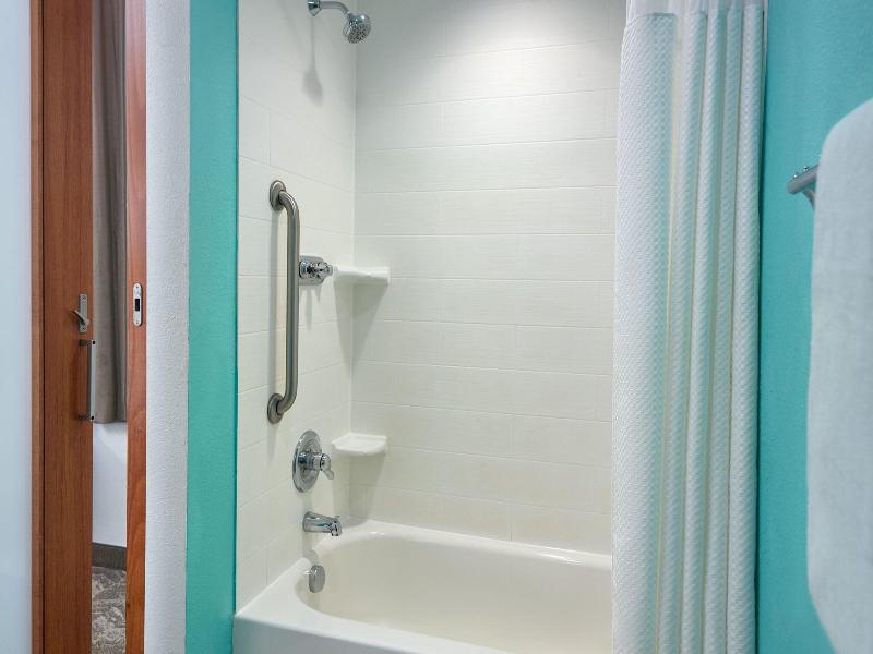 Springhill Suites Orlando At Seaworld® image