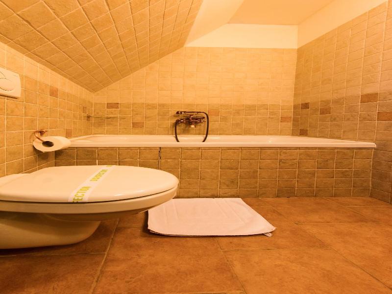 Hotel****liptovský Dvor image