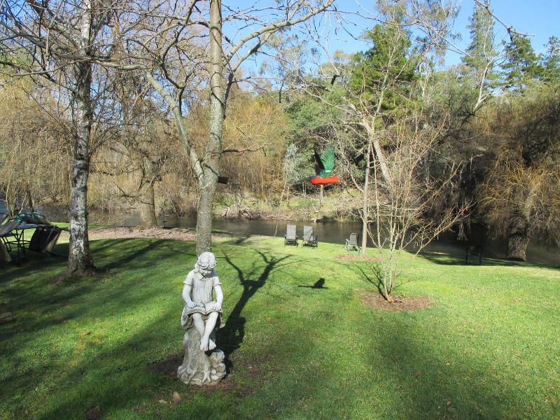 Alpine Riverside Cottages — general view