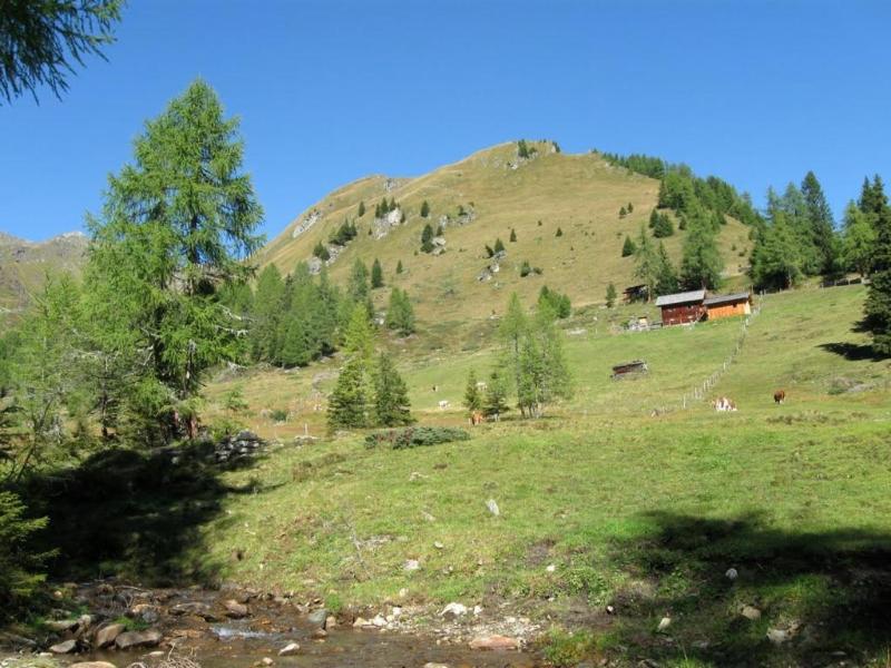 Apartmenthaus Kometerhof image