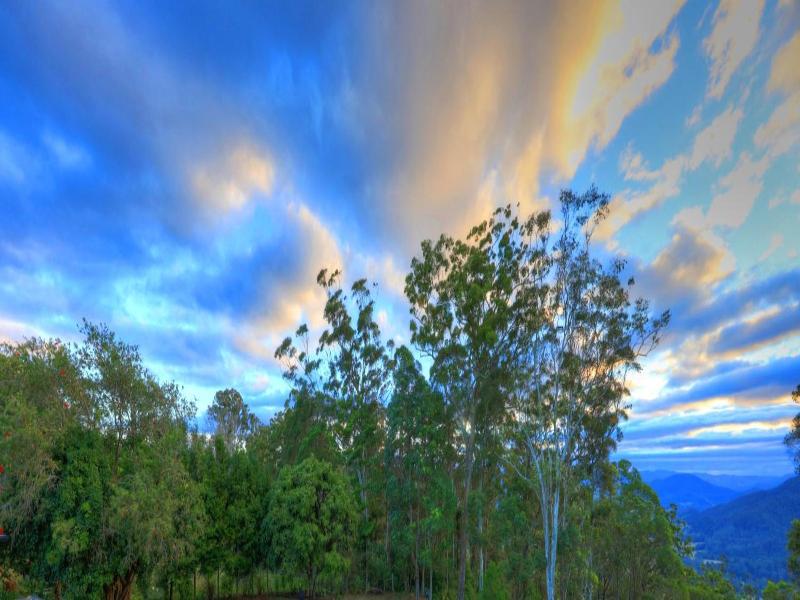 Mapleton Falls Accommodation image