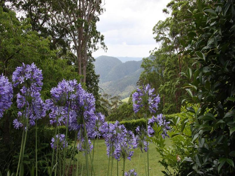Mapleton Falls Accommodation image