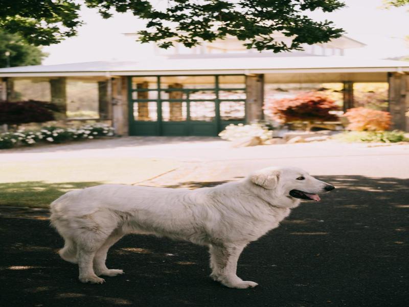 Flowerdale Estate image