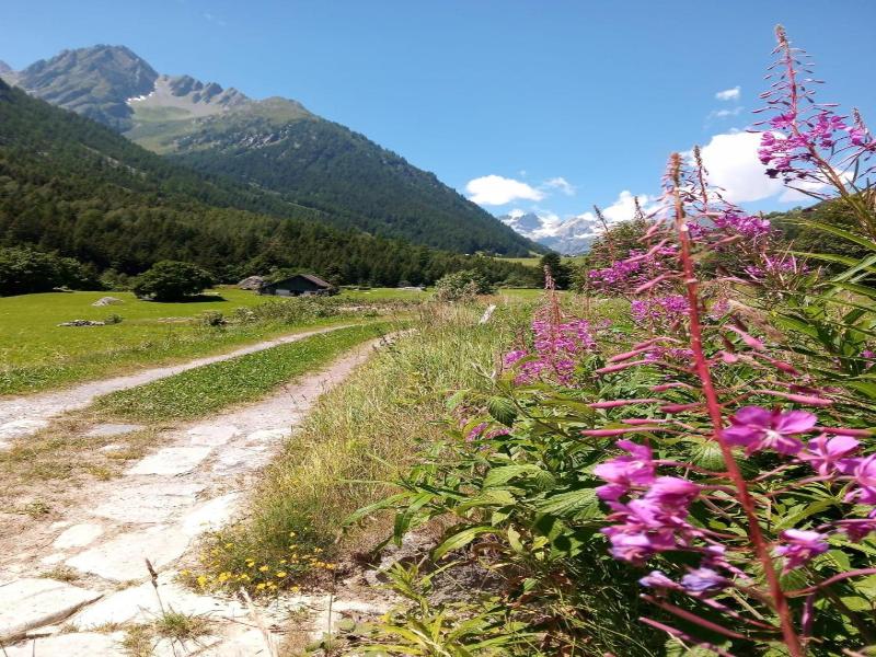 Gotthard Backpacker image