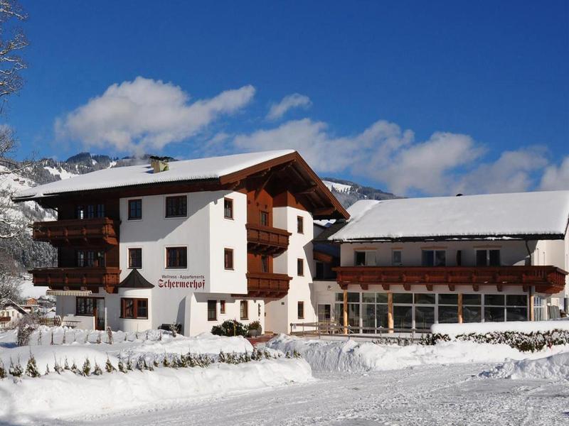 Activ Wellness - Appartement Schermerhof image