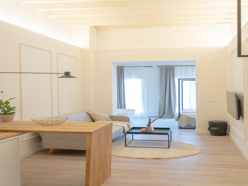Suites Alfonso X