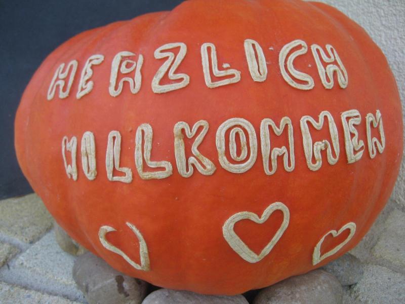 Badische Landoase image