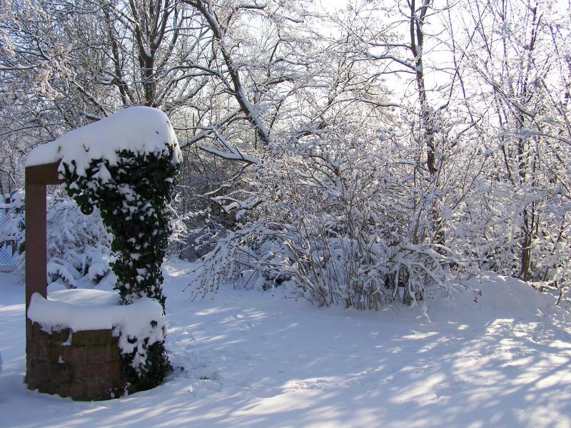 Badische Landoase image