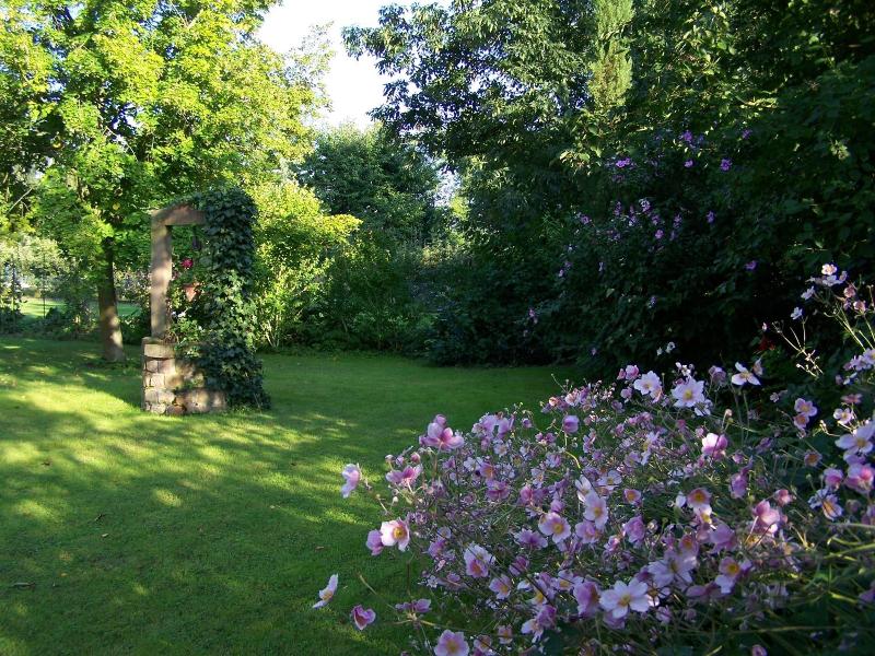 Badische Landoase image