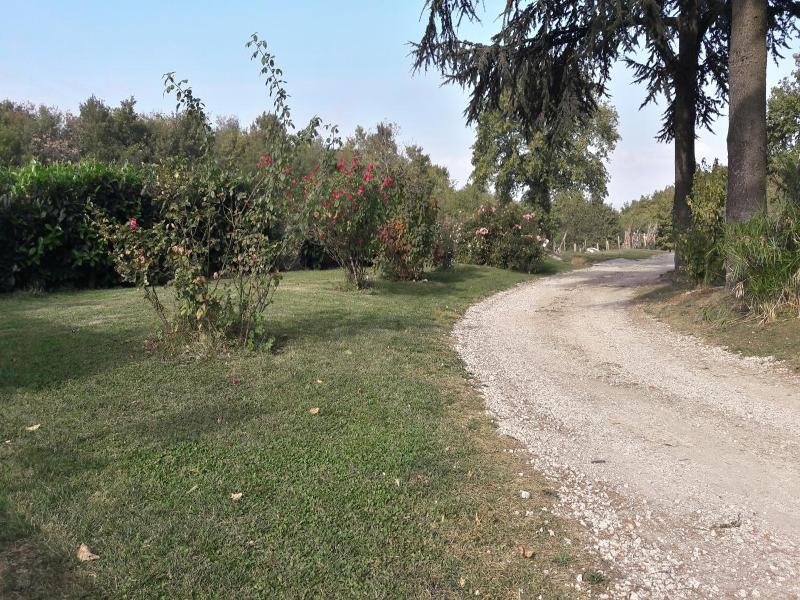 B&b Il Cardellino image