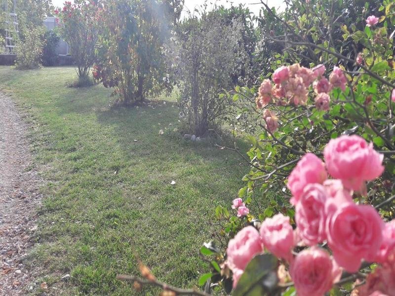 B&b Il Cardellino image