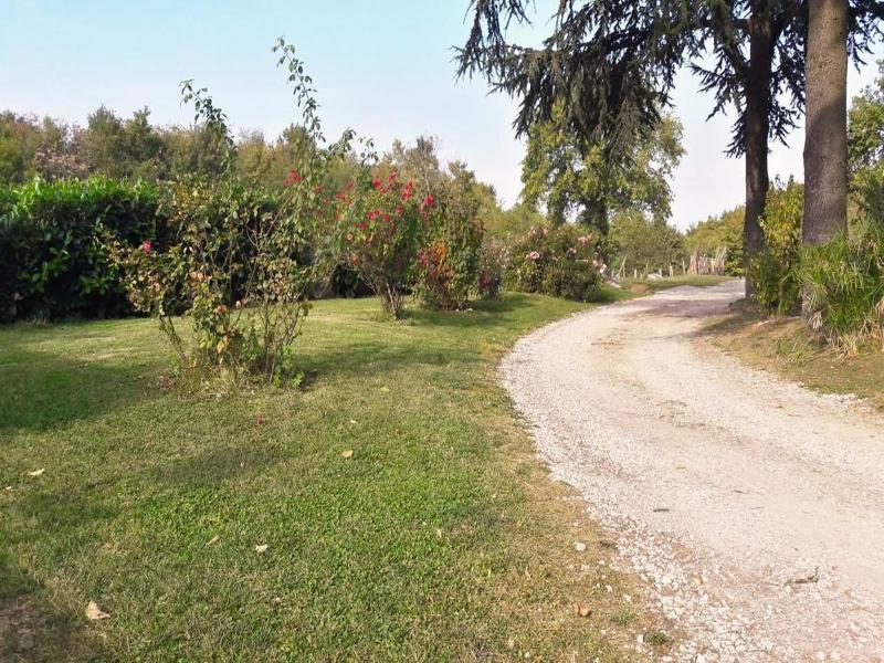 B&b Il Cardellino image