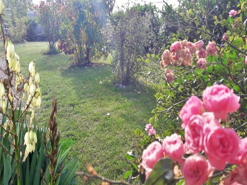 B&b Il Cardellino image