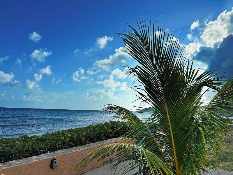 Grapetree Bay Hotel Villas image