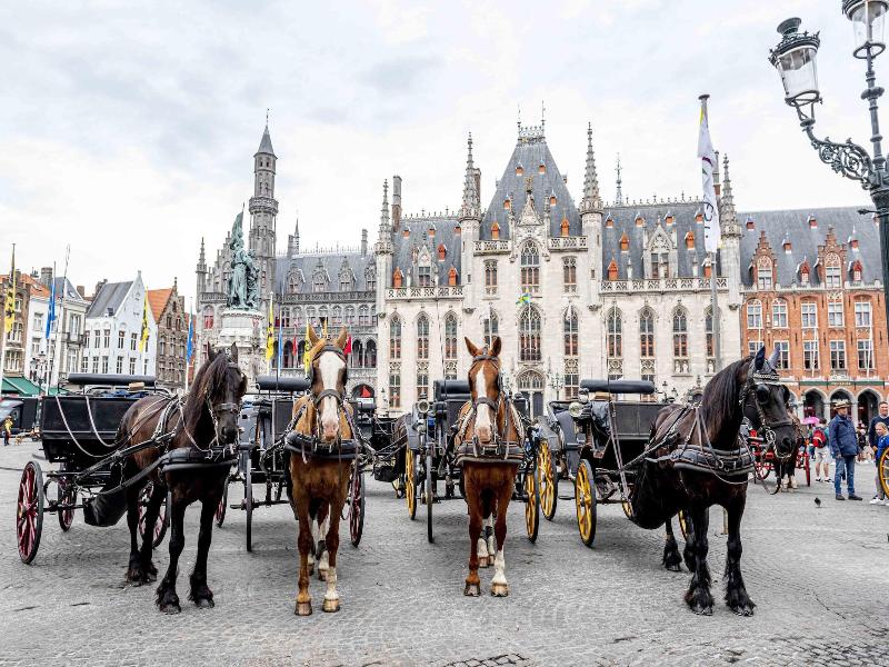Mansion9 Bruges image
