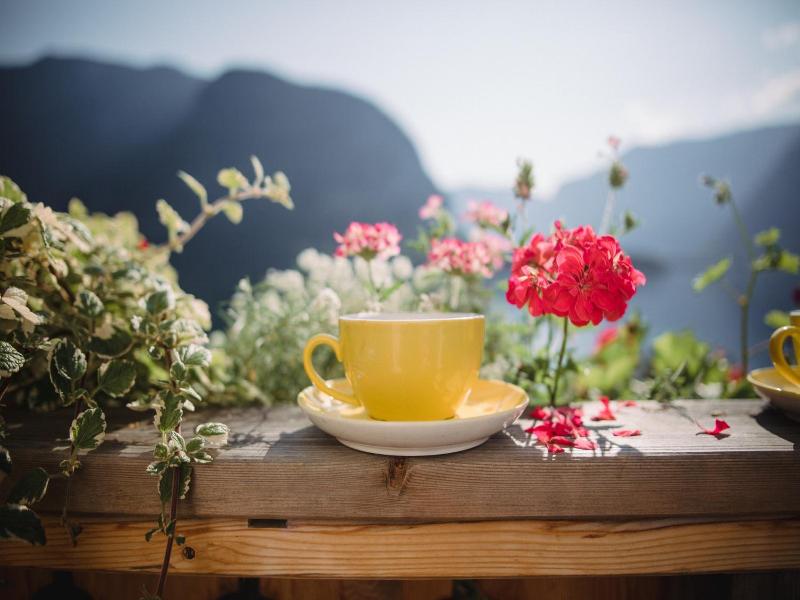 Gasthof Simony Hallstatt B&b image