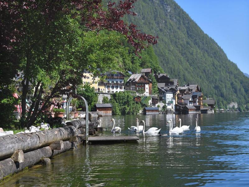 Gasthof Simony Hallstatt B&b image