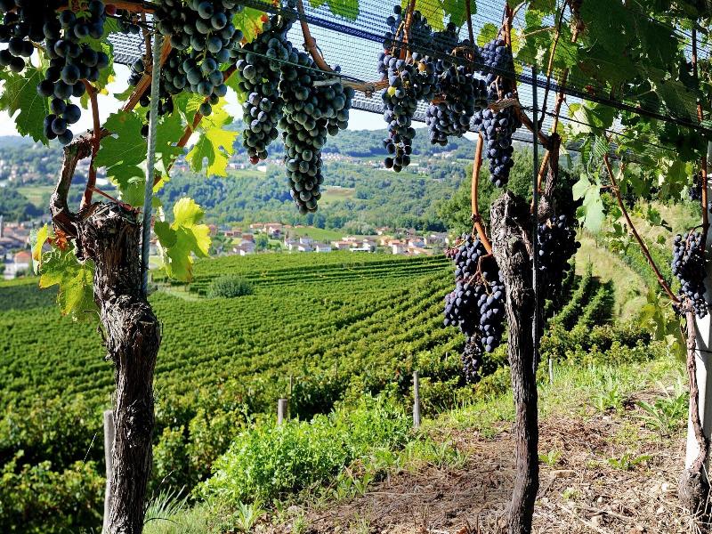 Conca Bella Boutique Hotel & Wine Experience image