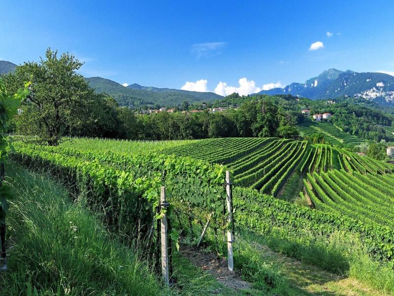 Conca Bella Boutique Hotel & Wine Experience image