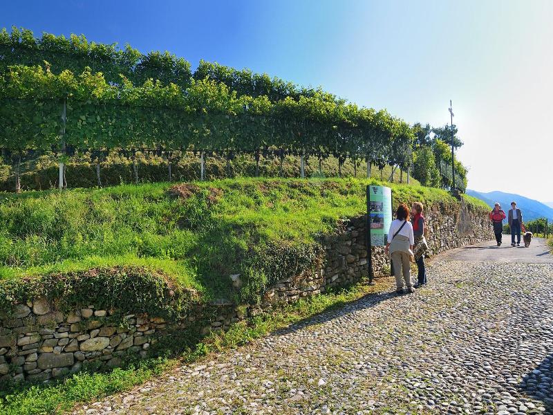 Conca Bella Boutique Hotel & Wine Experience image