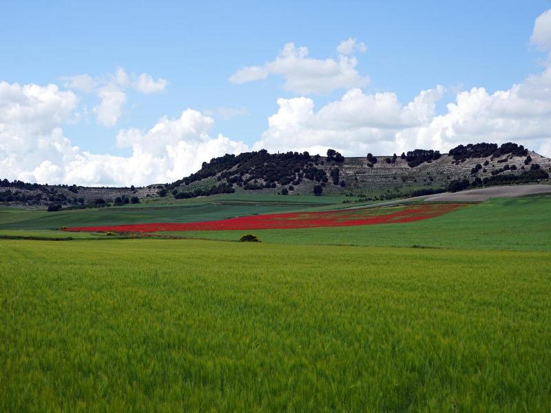 La Siesta image