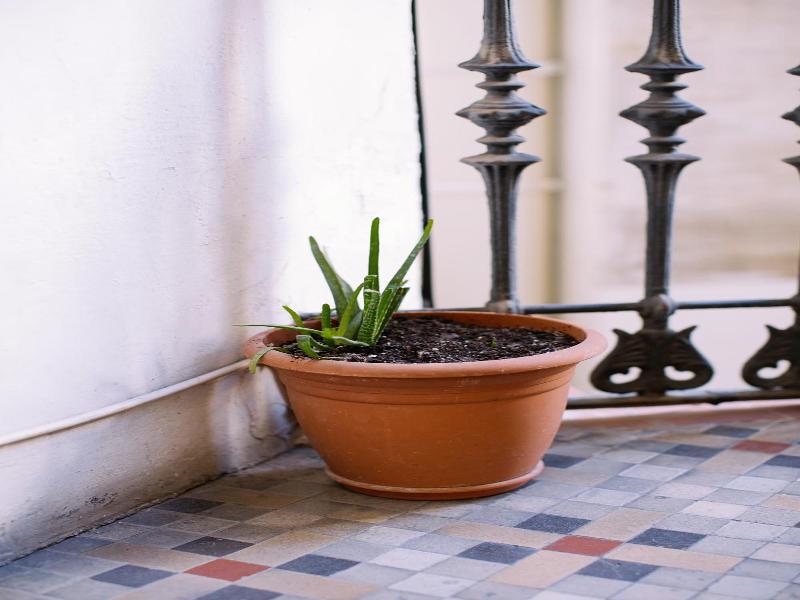 Hostal Eixample image
