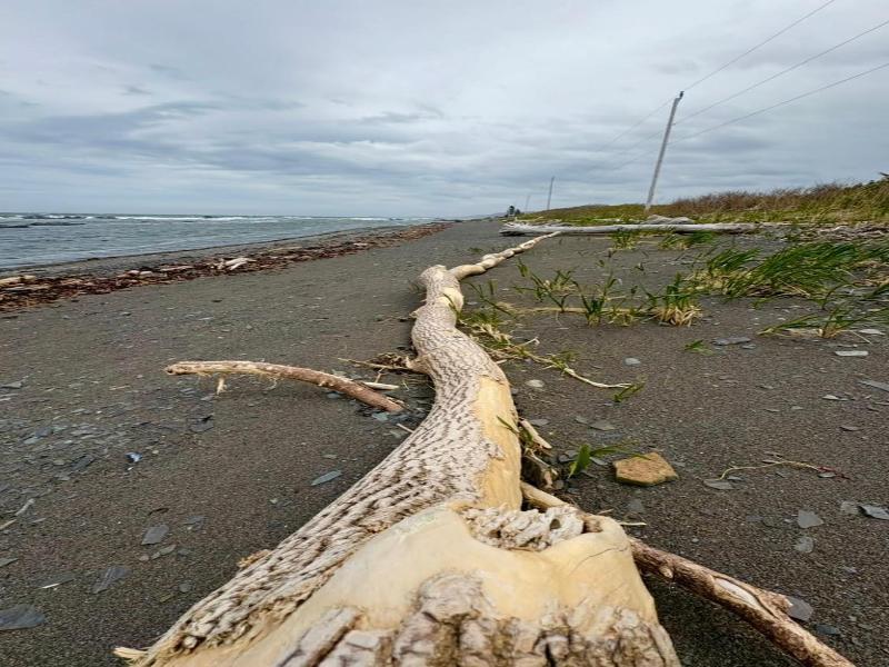 Gite De La Baie Hatée image