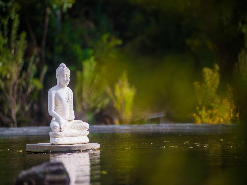 Terma Linca Resort And Spa image