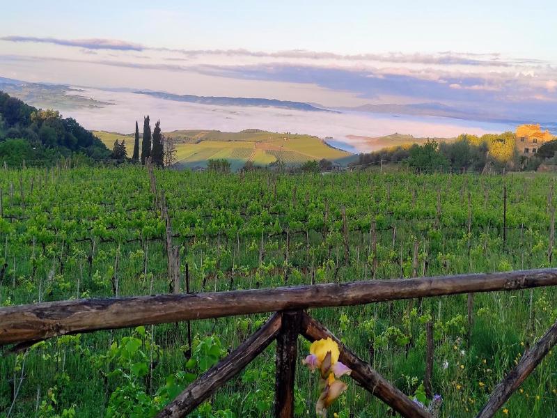 Castel Brunello image