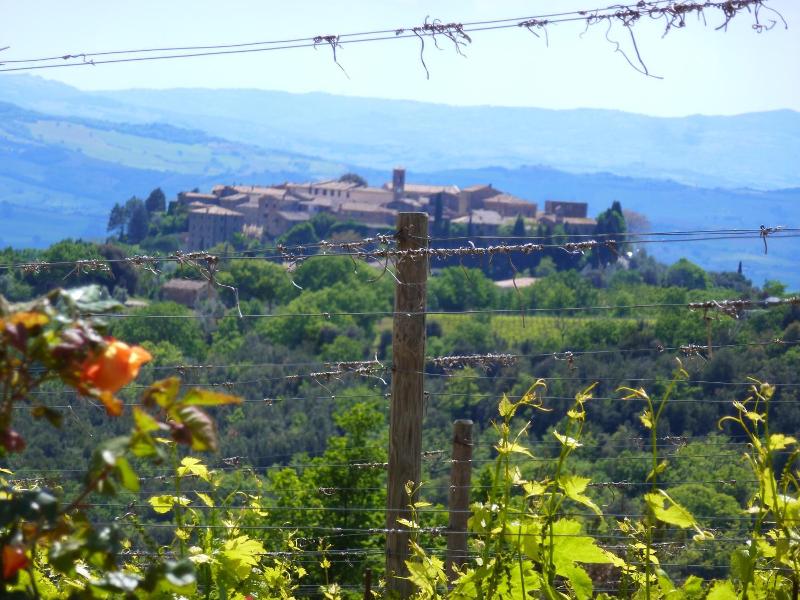 Castel Brunello image