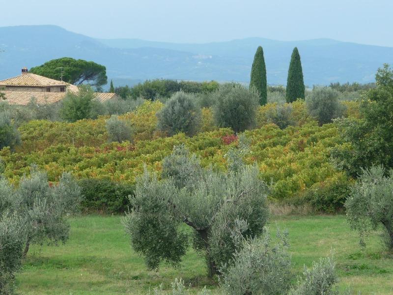 Castel Brunello image