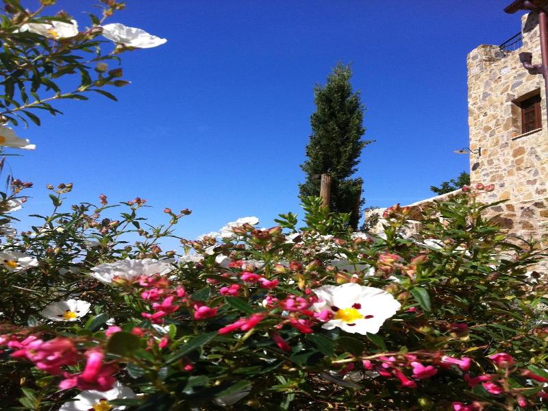 Castel Brunello image