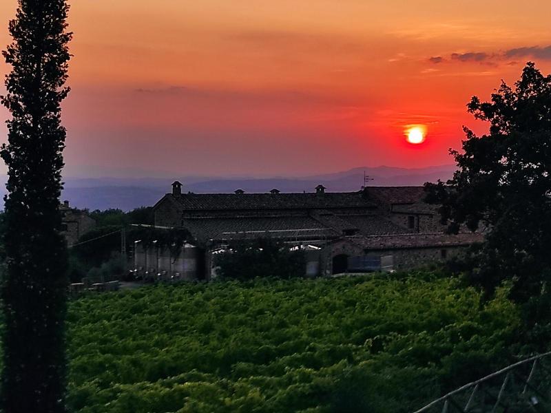 Castel Brunello image
